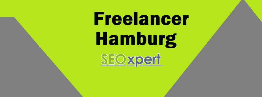 SEO Freelancer in Hamburg