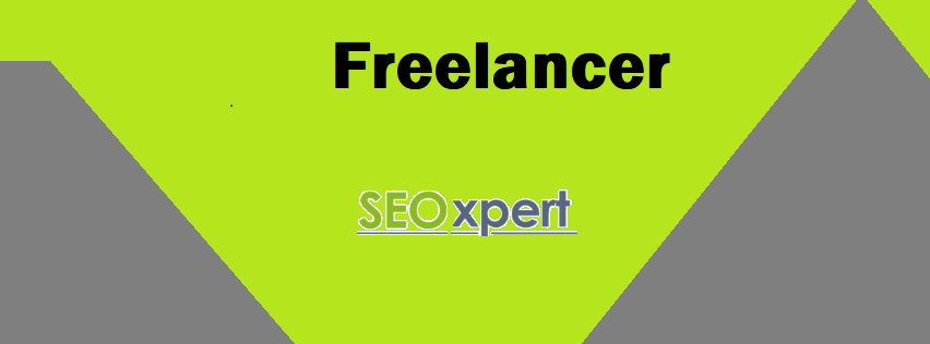 USA Freelancer Service